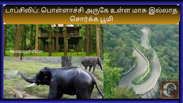 Topslip Tamil Nadu Tour Nature